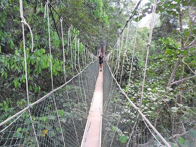 Canopy-Teresek-5