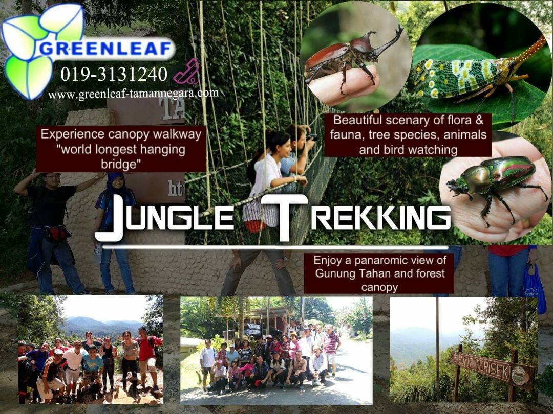 Taman-Negara-Day-Tour-JungleTrekking-04