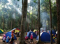 pcksmall_camping