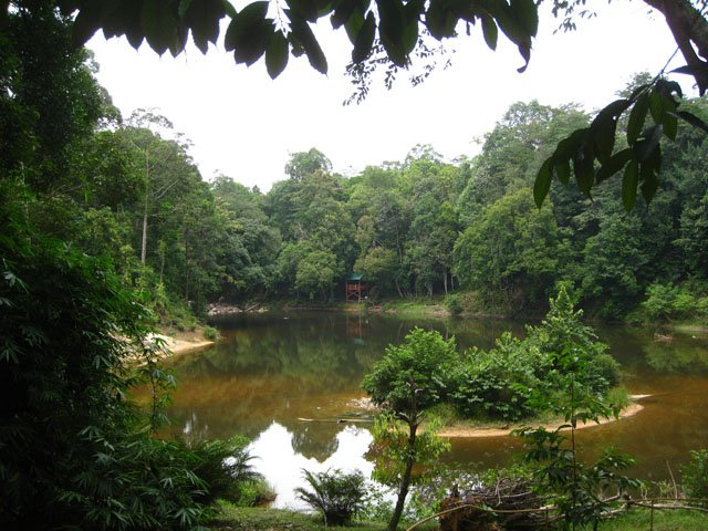 Taman negara endau rompin