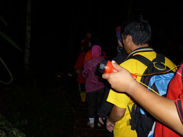 Night_Jungle_Trekking_01