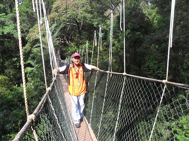 Canopy-Walkway-4