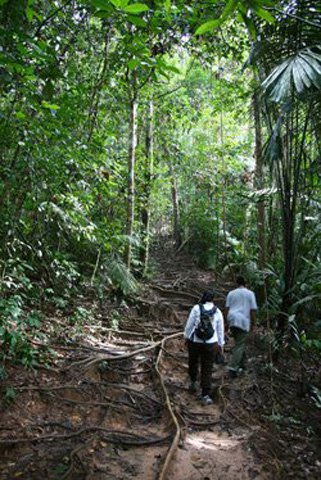 Jungle_Trekking_02