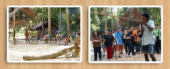 tmn_activity_orang